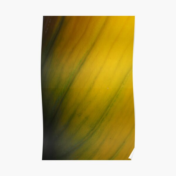 lily veins Poster