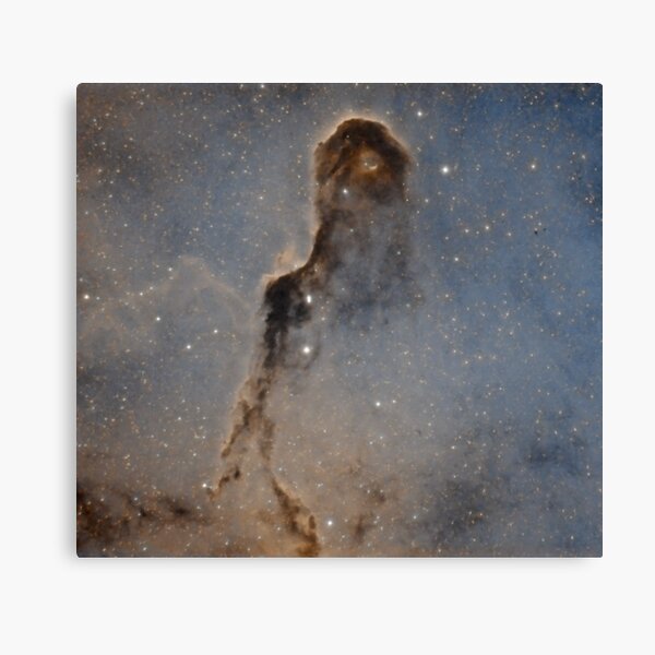 Elephant trunk nebula Canvas Print