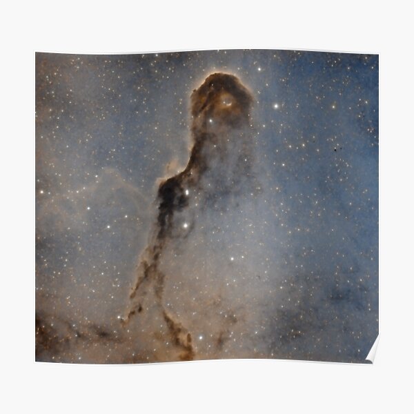 Elephant trunk nebula Poster