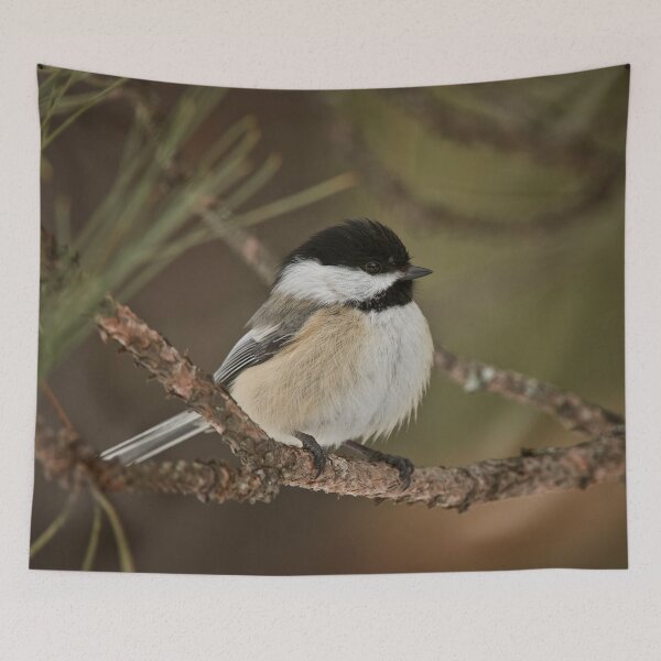 Item preview, Black Capped Chickadee designed and sold by Michael Cummings.