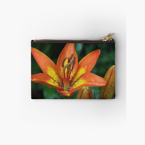 Item preview, Bi-Color Orange Asiatic Lily designed and sold by AnnDixon.