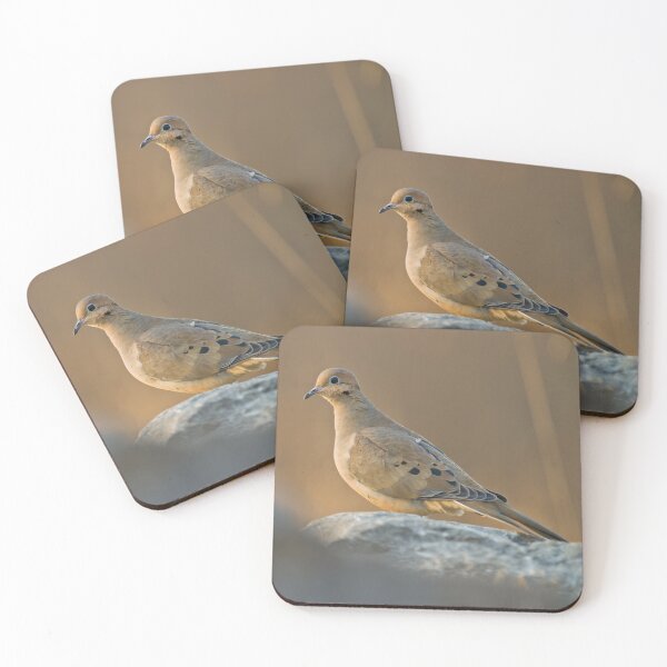 Item preview, Mourning Dove On Rock designed and sold by Michael Cummings.