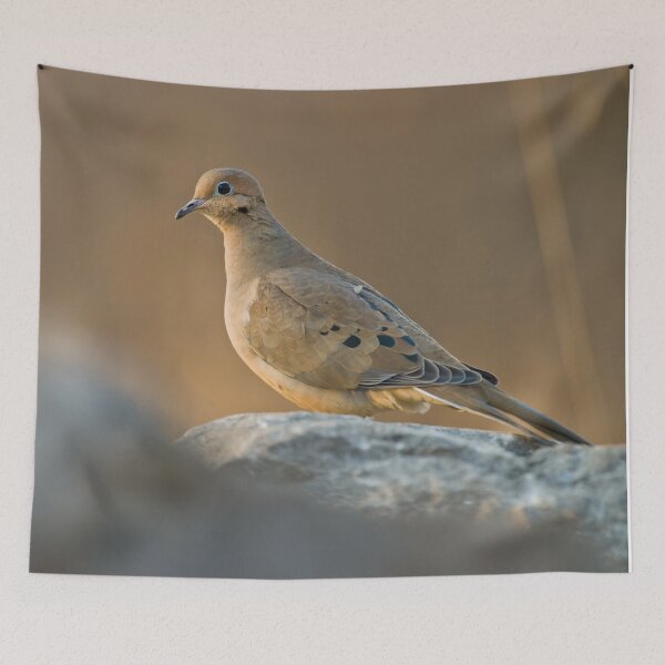 Item preview, Mourning Dove On Rock designed and sold by Michael Cummings.