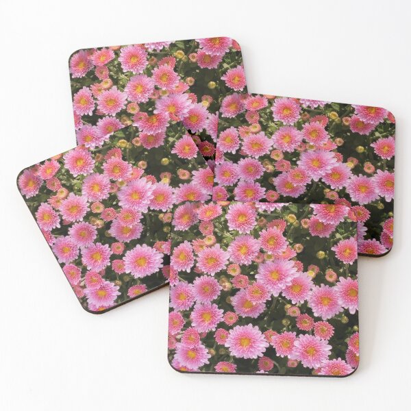 Item preview, Bellis Perennis, Beautiful Pink Daisy designed and sold by Chee Sim.