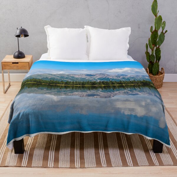 Item preview, Alaska Mountains in Denali Park designed and sold by Tim Thompson.