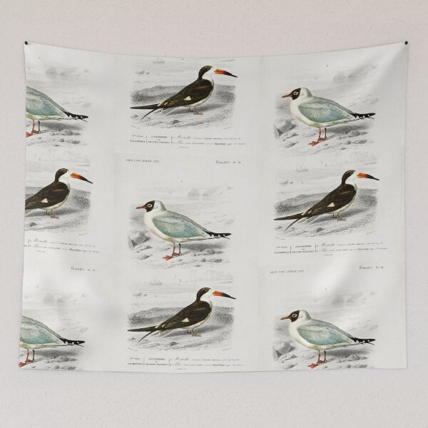 Item preview, Seabirds vintage illustration  designed and sold by Vintage Designs +.