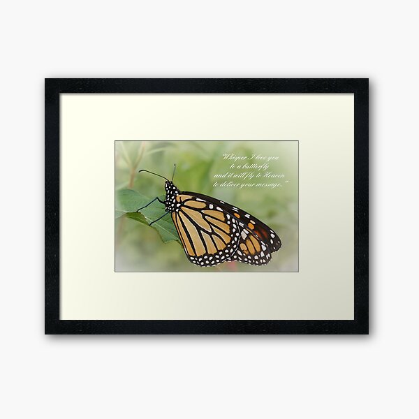 Insect Framed Prints Redbubble