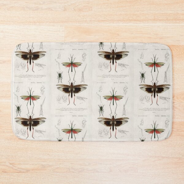 Item preview, Beetle bug vintage illustration  designed and sold by Vintage Designs +.
