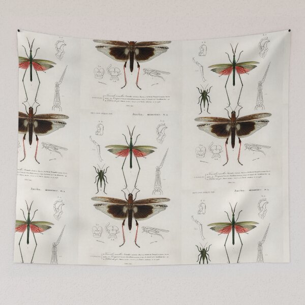 Item preview, Beetle bug vintage illustration  designed and sold by Vintage Designs +.