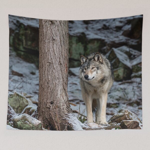 Item preview, Eastern Gray Wolf  Beside Tree designed and sold by Michael Cummings.