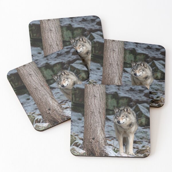 Item preview, Eastern Gray Wolf  Beside Tree designed and sold by Michael Cummings.