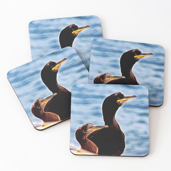 Item preview, Nesting on the Farne Islands designed and sold by Matthew Mason.