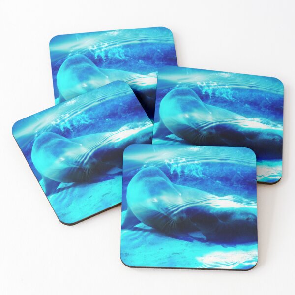 Item preview, Cuidado de focas designed and sold by AxeWave.