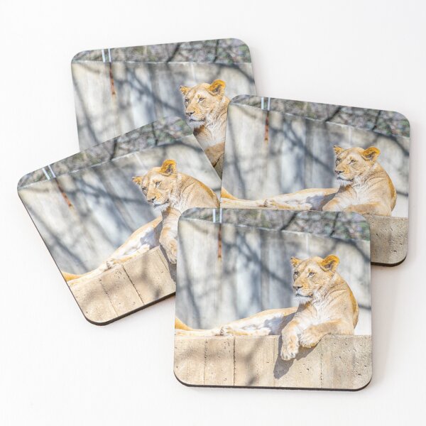 Item preview, Purrfect designed and sold by Alex Tonetti Photography.