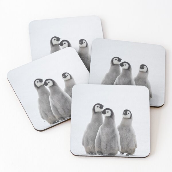 Item preview, Three Emperor Penguin Chicks designed and sold by cmm1234.