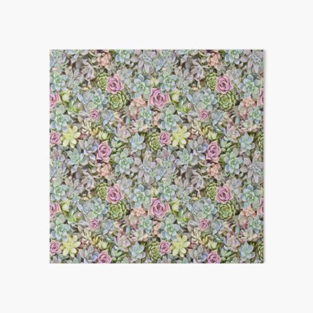 Succulent Pastels Art Board Print