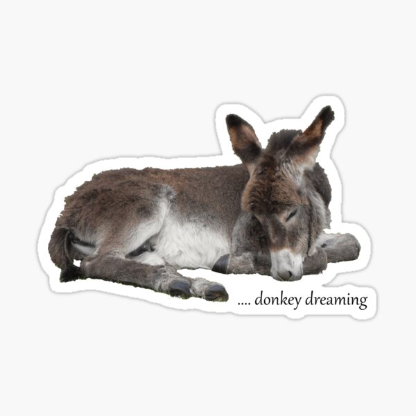 Cute Donkey Foal Dreaming Sticker