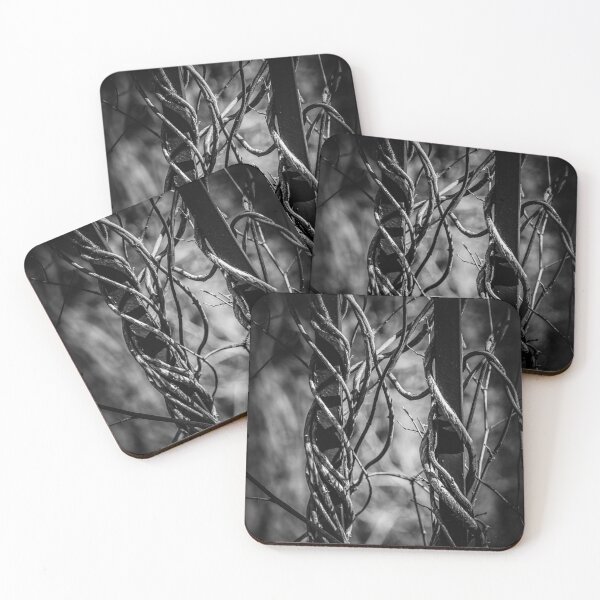Item preview, Twisted & Tangled designed and sold by Alex Tonetti Photography.