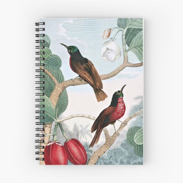 Item preview, Senegal Creeper Birds designed and sold by goldenmenagerie.