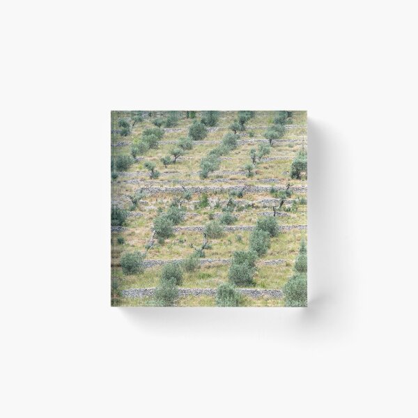 Item preview, Olive grove designed and sold by ccullen222.