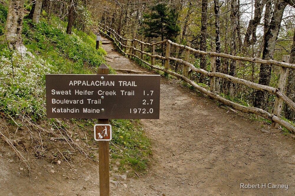 "Newfound Gap Start to the Appalachian Trail" by Robert H Carney