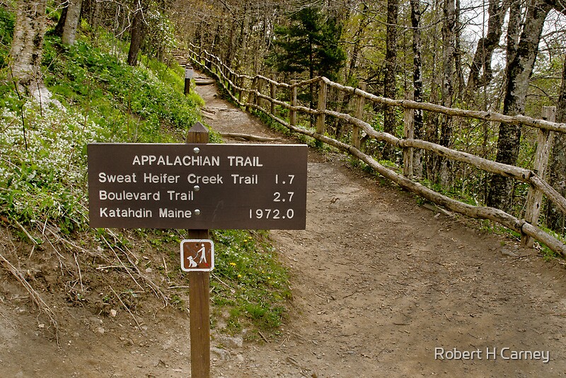 "Newfound Gap Start To The Appalachian Trail" By Robert H Carney ...