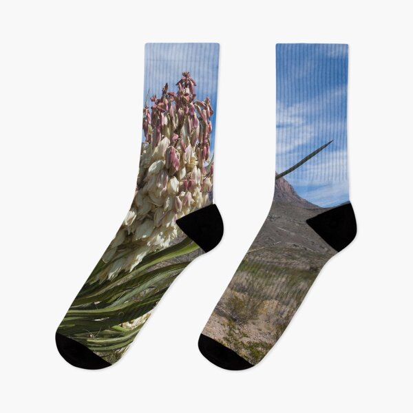 Item preview, Yucca plant with Mountains designed and sold by Allen Penton.
