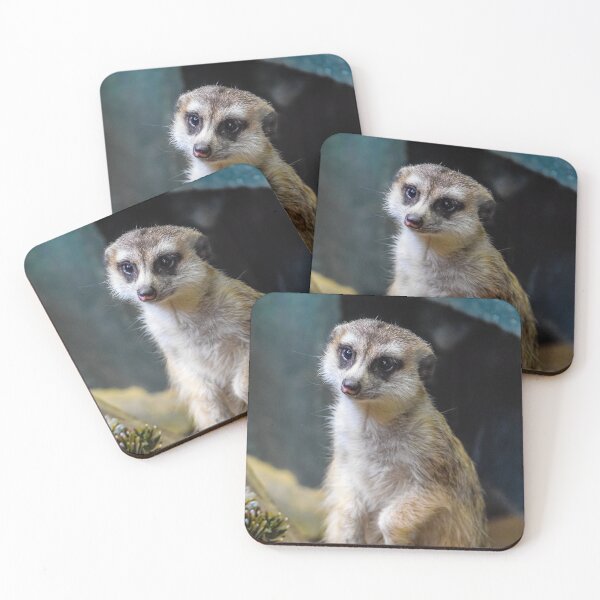 Item preview, Huh? What'd you Say?? designed and sold by Alex Tonetti Photography.