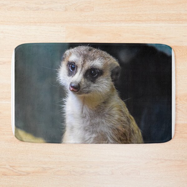 Item preview, Huh? What'd you Say?? designed and sold by Alex Tonetti Photography.