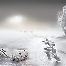 White Run
