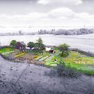 Oasis