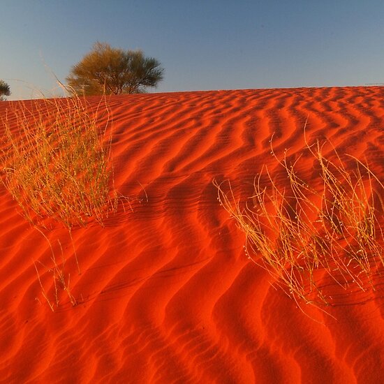 https://ih1.redbubble.net/work.30867.12.flat,550x550,075,f.sundown-madigan-line-simpson-desert.jpg