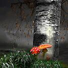 Forest Life