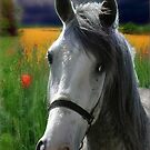 Spirit