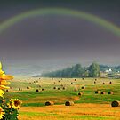 Countryside