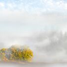 Dreamland