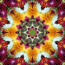Kurious Kaleido 2 - 1 by MaKay Kurious Kaleido 2 - 1 by MaKay