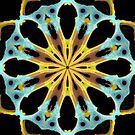 Radial Gold by BlueOcean Radial Gold by BlueOcean
