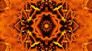 An Orange Managerie by xzendor7 An Orange Managerie by xzendor7